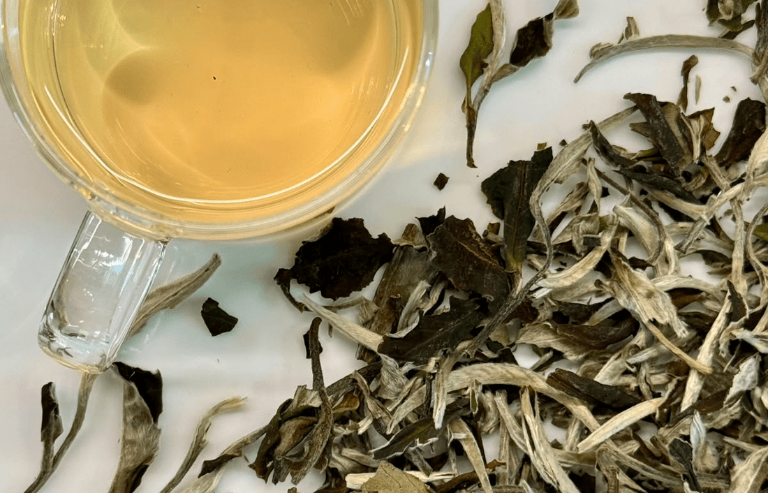 Pai mu tan - Zenblend