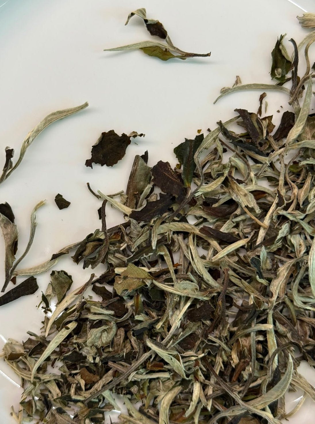 Herbata Pai Mu Tan Finest - Zenblend