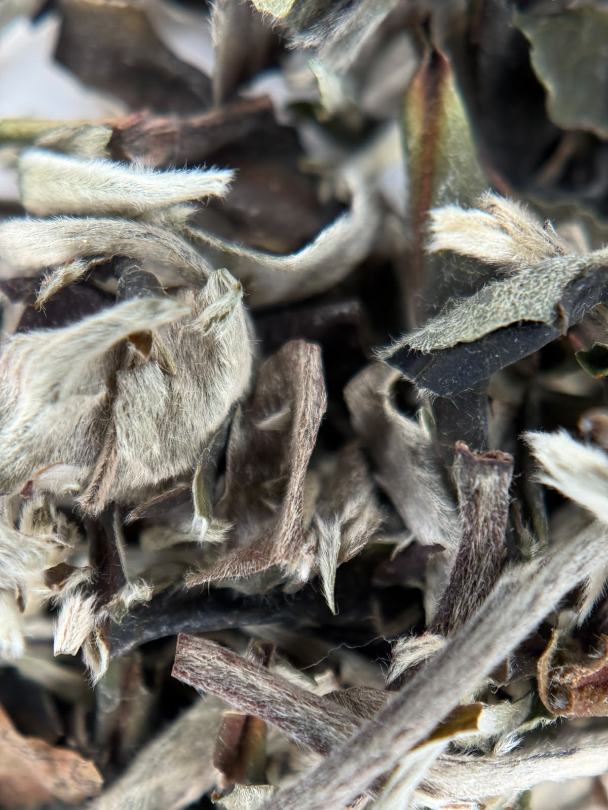 Herbata Pai Mu Tan Finest - Zenblend