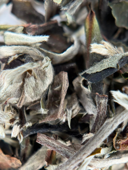 Herbata Pai Mu Tan Finest - Zenblend